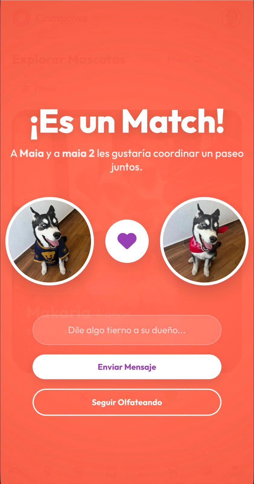 Pantalla de Explorar Mascotas